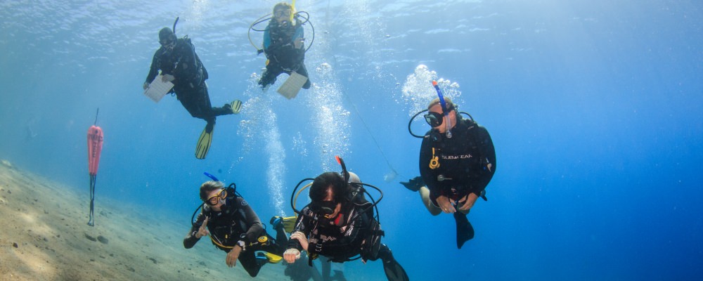 Instructor Development Course (IDC) exercise with Course Director and Staff Instructor evaluating