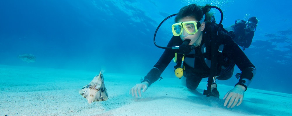 Advanced Open Water Diver swims close to a fish on a sandy bank