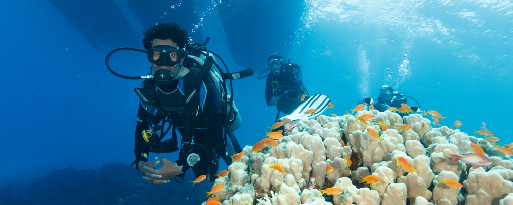 Divemaster leads the dive